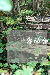 劳动合同法  公务员